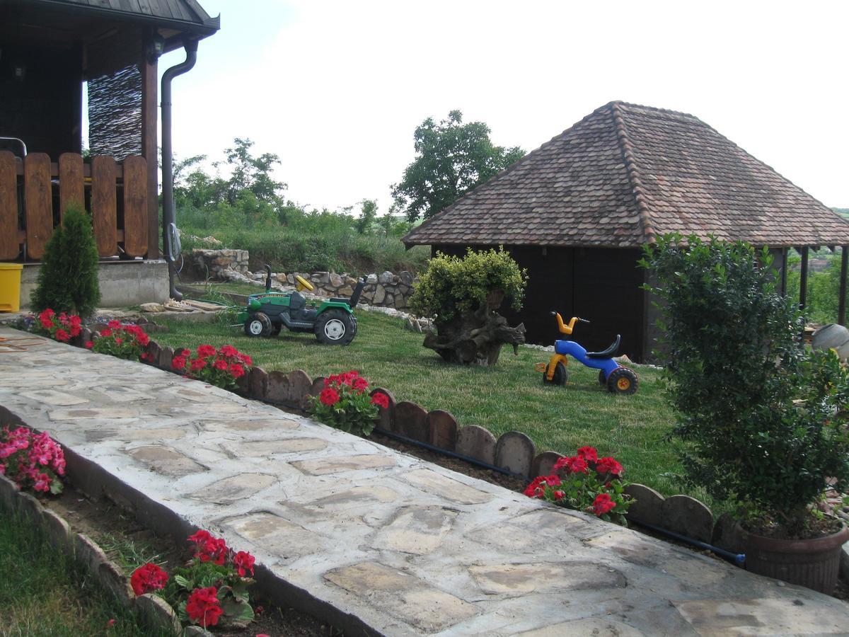Etno Apartment Връдник Екстериор снимка